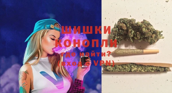 амф Коряжма