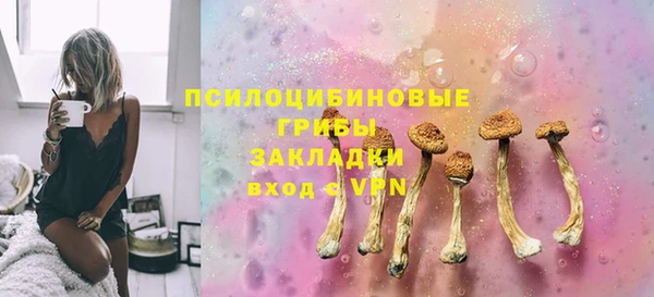 амф Коряжма