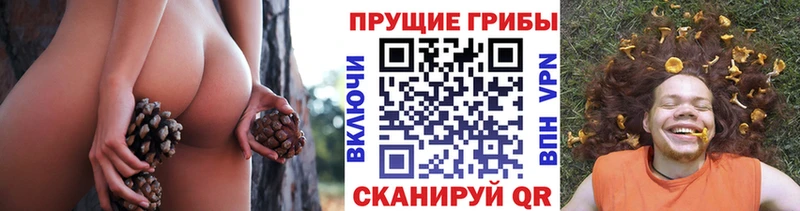 Псилоцибиновые грибы Psilocybine cubensis  hydra зеркало  Касли 