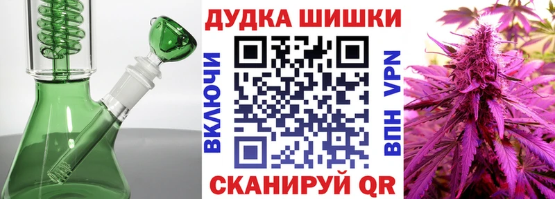 Бошки Шишки планчик Касли